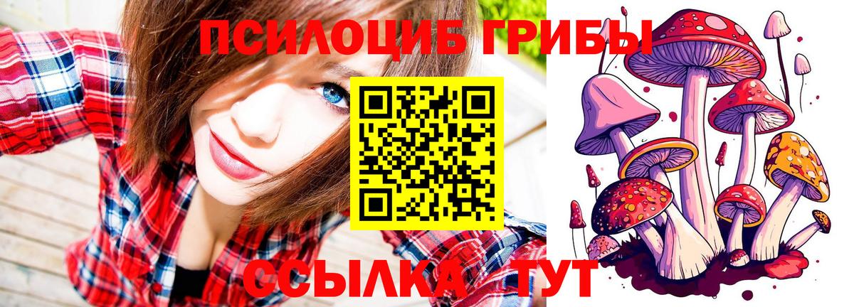 Златоуст  Псилоцибиновые грибы мицелий  Вход с VPN  Галлюциногенные грибы GOLDEN TEACHER 