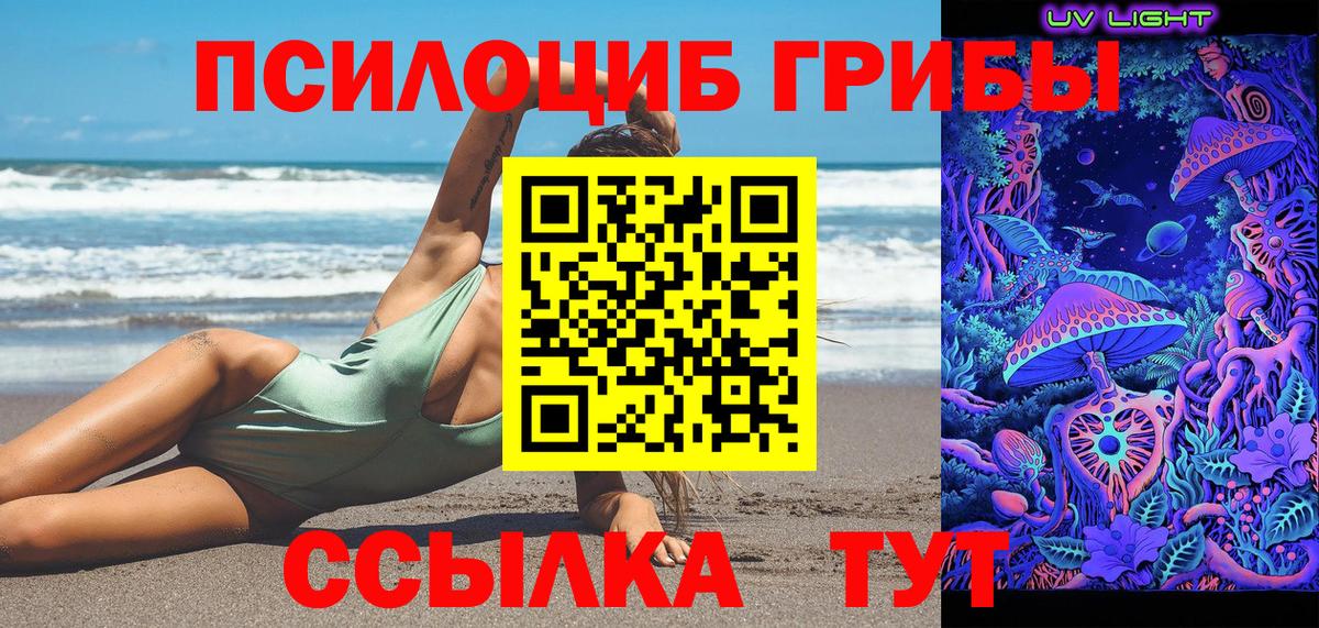 Псилоцибиновые грибы Psilocybe Златоуст